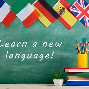 Foreign Language Institues